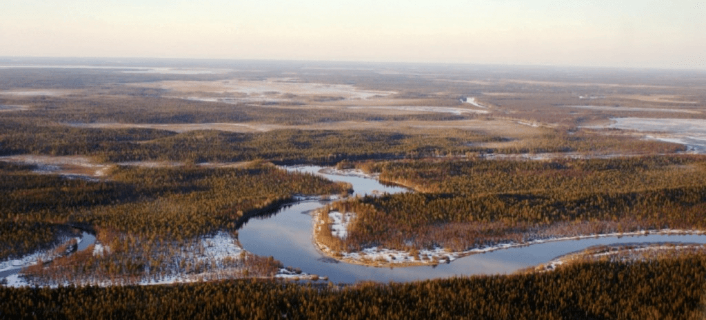 Водлозерский парк, река икса